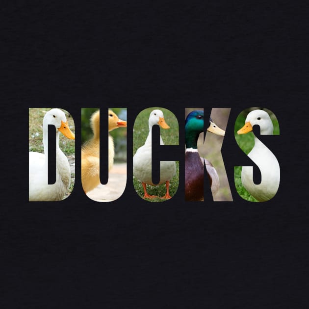 Real Ducks. by DucksInPublic